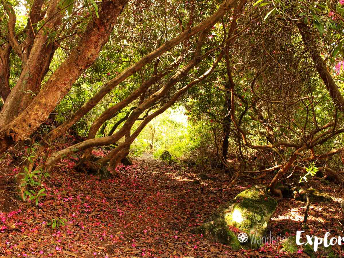 Life in Colour:&nbsp;Brown