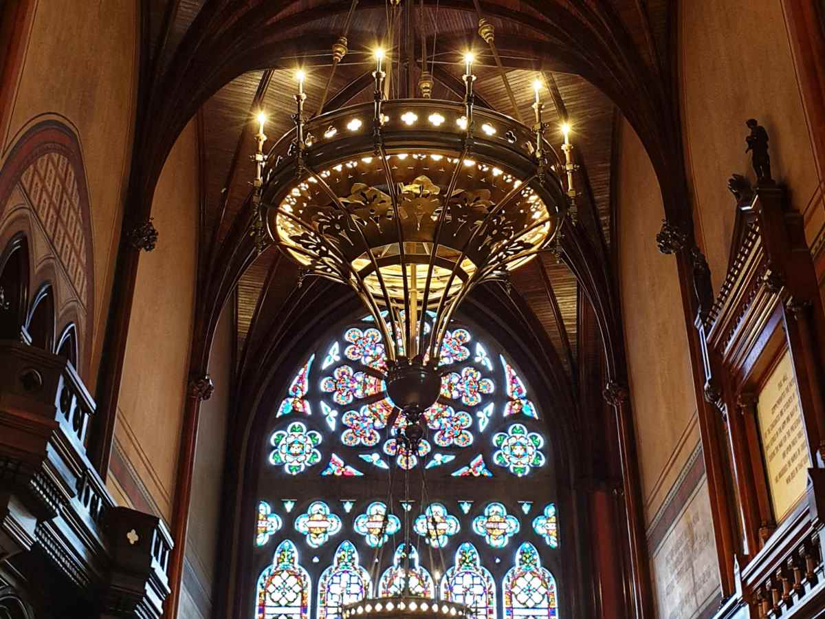 Life in Colour:&nbsp;Brown